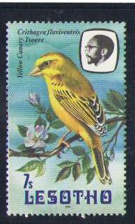 Lesotho 1981