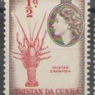 Tristan da Cunha 1954
