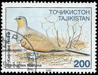 Tajikistan 1996 (used)