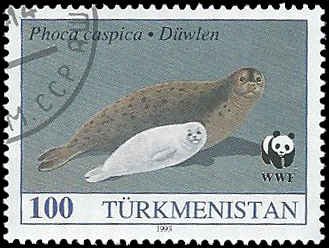 Turkmenistan 1993 (used)