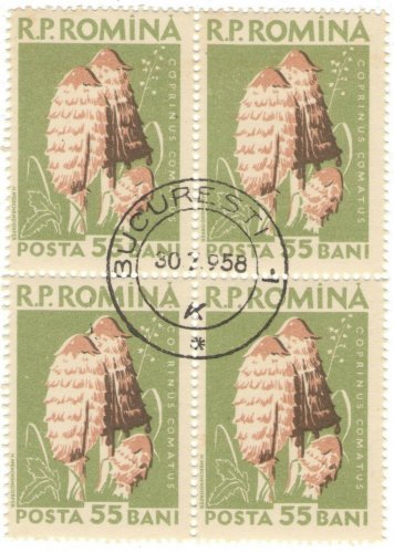 1958 Romania CTO Block:&Acirc;&nbsp;&Acirc;&nbsp;Mushrooms (Coprinus comatus)
