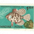 1962 Hungary CTO:  Tropical Fish