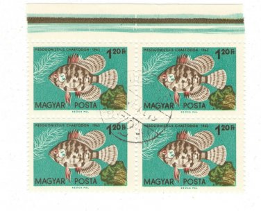 1962 Hungary CTO Block:&Acirc;&nbsp;&Acirc;&nbsp;Tropical Fish