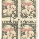 1958 Romania CTO Block:  Mushrooms (Psalliota campestris)