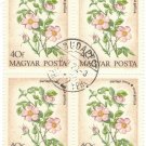 1973 Hungary CTO Block:  Field Flowers (Rosa gallica)