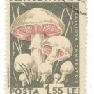 1958 Romania CTO: Mushrooms (Psalliota campestris)