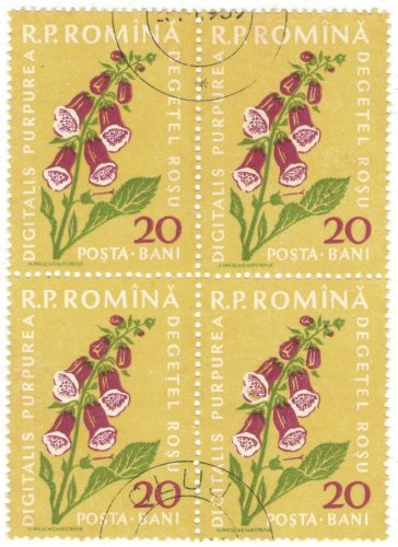 1959 Romania CTO Block:&Acirc;&nbsp; Flora (Digitalis purpurea)