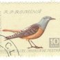 1959 Romania CTO:  Songbirds (Monticola saxatilis)