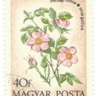 1973 Hungary CTO:  Field Flowers (Rosa gallica)
