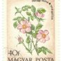 1973 Hungary CTO:  Field Flowers (Rosa gallica)