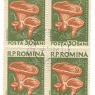 1958 Romania CTO Block:  Mushrooms (Lactarius deliciosus)