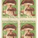 1958 Romania CTO Block:  Mushrooms (Boletus edulis)