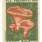 1958 Romania CTO: Mushrooms (Lactarius deliciosus)