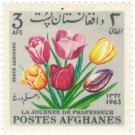 1964 Afghanistan Teacher's Day Stamp - Airmail