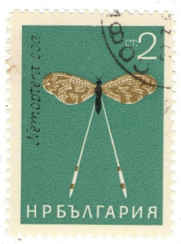 1964 Bulgaria CTO