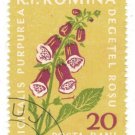 1959 Romania CTO:  Flora (Digitalis purpurea)