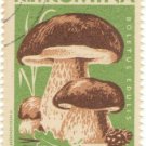 1958 Romania CTO: Mushrooms (Boletus edulis)