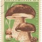 1958 Romania CTO: Mushrooms (Boletus edulis)