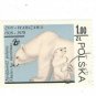 1978 Poland CTO: Warsaw Zoo Polar Bears