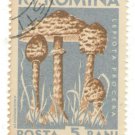 (5) 1958 Romania CTO Stamps:  Mushrooms