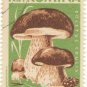 (5) 1958 Romania CTO Stamps:&Acirc;&nbsp;&Acirc;&nbsp;Mushrooms