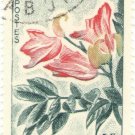 1961 Gabon CTO: Spathodea campanulata