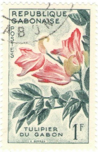 1961 Gabon CTO:&Acirc;&nbsp;Spathodea campanulata