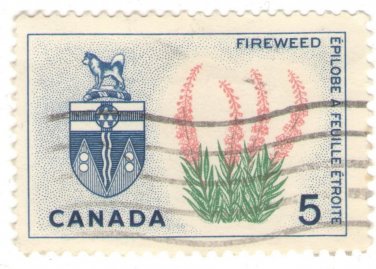 1964 Canada (used)