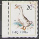 1967 Albania CTO Stamp