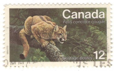 1977 Canada (used)