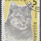 Bulgaria 1989 (used)