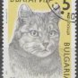 Bulgaria 1989 (used)