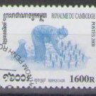 Cambodia 2000 (used)