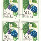 1977 Poland CTO Block: Forest Fruits