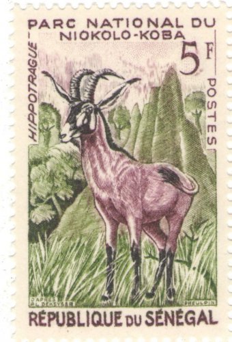Senegal 1961