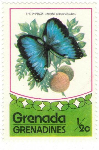 1975 Grenada Grenadines Stamp:  Butterflies (Morpho peleides)