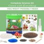 Light-up Terrarium Kit for Kids LED Light on Lid - Science -...