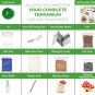 Light-up Terrarium Kit for Kids LED Light on Lid - Science -...