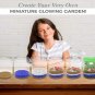 Light-up Terrarium Kit for Kids LED Light on Lid - Science -...