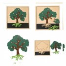 LEADER JOY Montessori Nature Materials Tree Puzzle for Early Preschool...