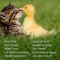Forest Grass 24in x 20in Artificial Synthetic Thick Lawn Turf Carpet Fake Grass for Dogs