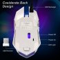 Wireless Gaming Mouse Rechargeable Silent Click with Nano Receiver C9s Sliver