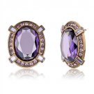TK2571 - IP Coffee light Stainless Steel Earrings with AAA Grade CZ in Amethyst Default Title