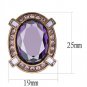 TK2571 - IP Coffee light Stainless Steel Earrings with AAA Grade CZ in Amethyst Default Title