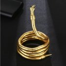 Winding snake necklace dark collar for women and men silver