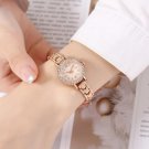 Women's exquisite small dial light luxury watch mother shell dial green