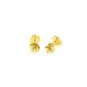 14k Yellow Gold Enameled Strawberry Childrens Earrings Yellow Gold
