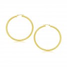 14k Yellow Gold Polished Hoop Earrings (30 mm) D181745