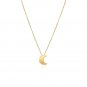 14k Yellow Gold Polished Moon Necklace with Diamond