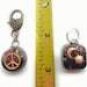 Calming Dog Charms EMF 5G Protection under 30 pounds Paw Print Chakra Crystals Paw Print